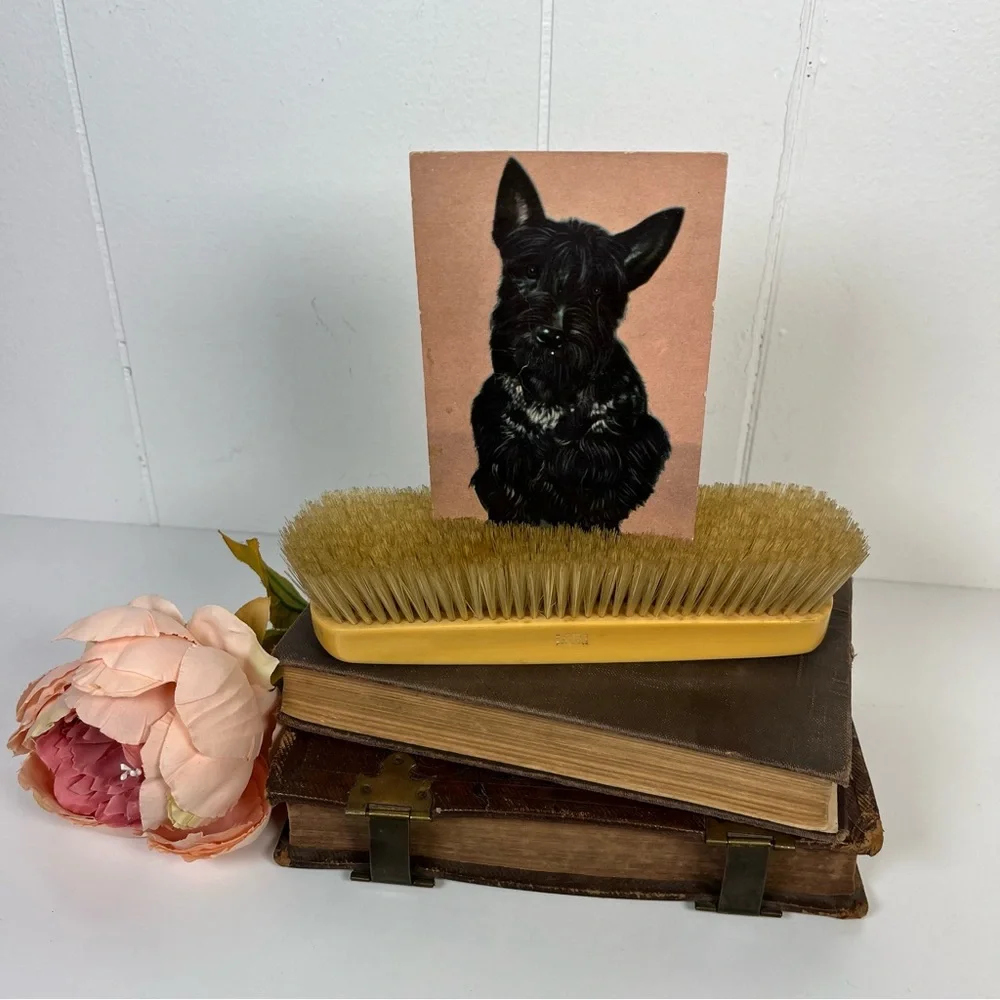Antique Parisian Loonen Ivory Celluloid Vanity Brush (Unique Photo Holder)